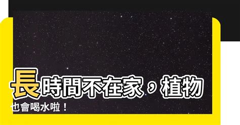 長時間不在家 植物|長時間不在家，4招教你該怎麼給花澆水？